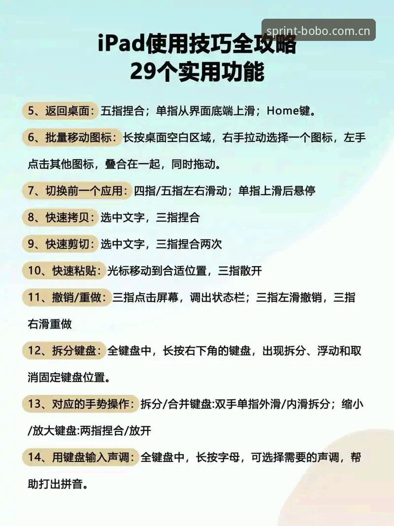BOBO体育平台 BOBO体育平台使用指南:从入门到精通的完整操作手册